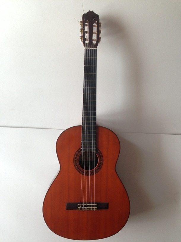 Đàn guitar cũ Grand Shinano GS100